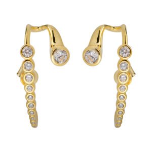 gold silver earrings with crystals